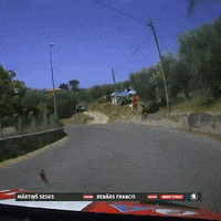 Fail Too Fast GIF by FIA European Rally Championship