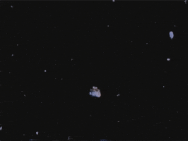 Animation Zoom Out GIF by vhspositive