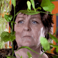 Fun Hello GIF by NTE Grøntforsprang