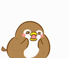 Bird Wow GIF by foodieg