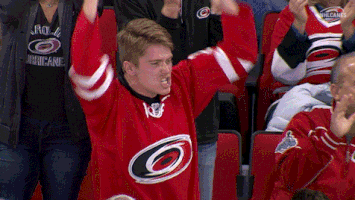 excited hockey GIF by Carolina Hurricanes