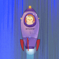 To The Moon Space GIF by Pudgy Penguins