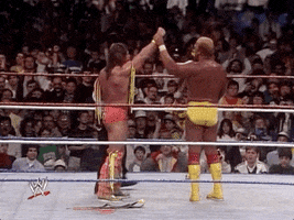 Hulk Hogan Hug GIF by WWE