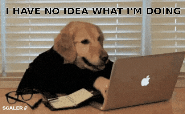 gif-Happy Work From Home GIF by Scaler