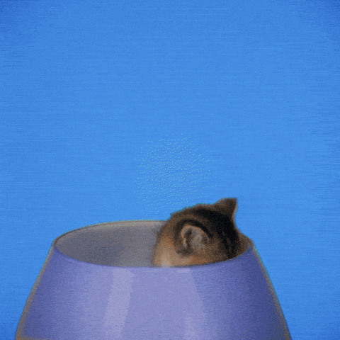 gif-Good Morning Hearts GIF by GIPHY Studios 2021