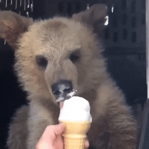 Giphy - Ice Cream Eating GIF
