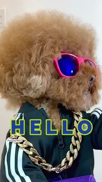 kt2101373's avatar