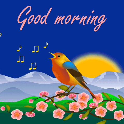 Happy Good Morning GIF by EleonoraKuz by Eleonora_Kuz