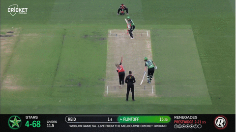 Melbourne Stars Cricket GIF by StarsBBL by StarsBBL