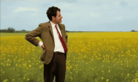 Giphy - Mr Bean Reaction GIF