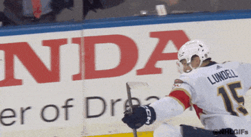 Excited Ice Hockey GIF by NHL