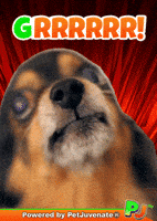 Angry Taylor GIF by PetJuvenate - PJ