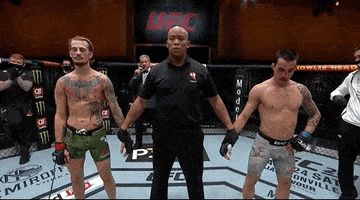 Sport Mma GIF by UFC