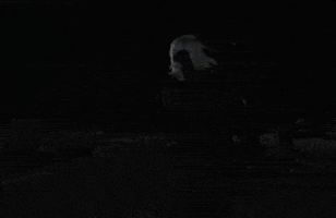 Nda GIF by Billie Eilish