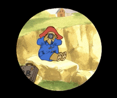 Episode 11 GIF by Paramount+