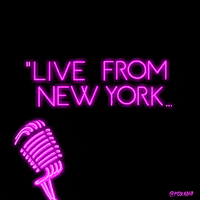 Saturday Night Live Television GIF by Animation Domination High-Def