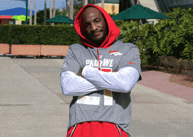 Denver Broncos No GIF by NFL