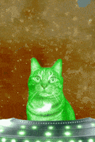 Space Cat GIF by Furrend