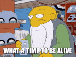 the simpsons GIF the simpsons GIF
