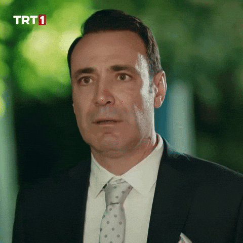 Giphy - Mustafa Ali Kalk Gidelim GIF by TRT