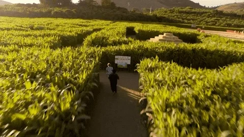 Season 3 Running GIF by 9-1-1 on FOX