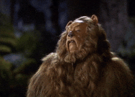 high quality GIF high quality GIF