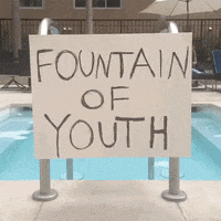 Fountain Of Youth GIF Fountain Of Youth GIF