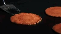 Horse Cooking GIF