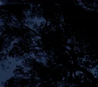 Meteor Love GIF