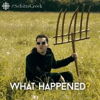 Dan Levy Comedy GIF by CBC