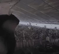 Jump Hype GIF by Gashi