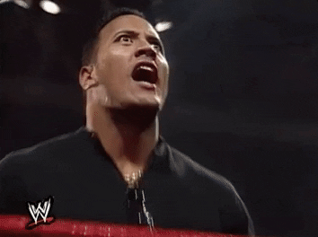 the rock wrestling GIF by WWE