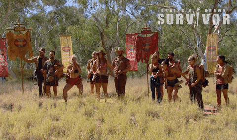 Excited Celebration GIF by Australian Survivor