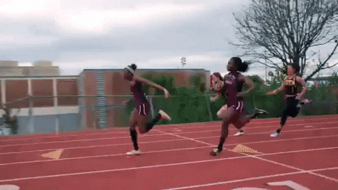 trinityuniversity  GIF