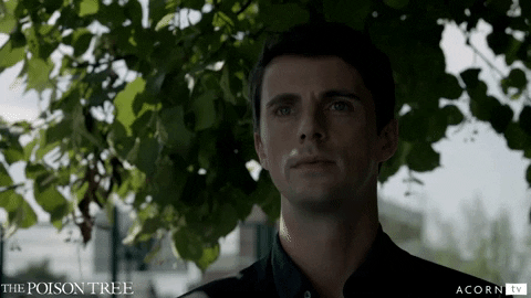 acorn-tv  GIF