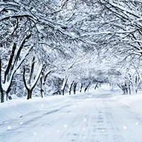 Snow Falling Christmas GIF