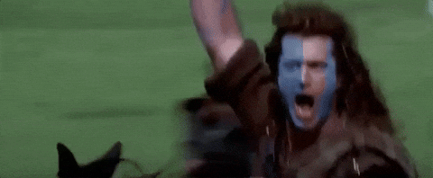 Freedom Braveheart GIF by David