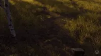 Thq Nordic Shine GIF by Xbox