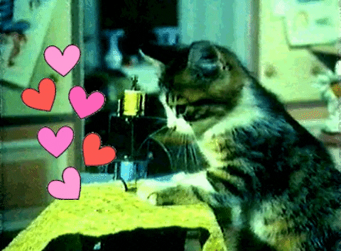 StudioTeka  GIF