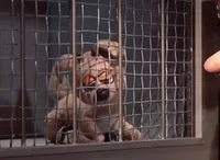 Sad The Year Without A Santa Claus GIF by filmeditor