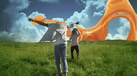 felly  GIF