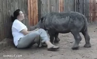Baby Sleeping GIF
