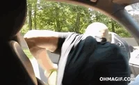 Car Today GIF