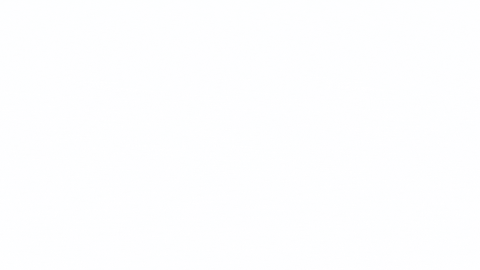 cardano_women  GIF