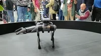 Animated GIF