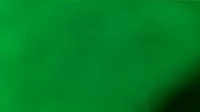 buurkracht GIF
