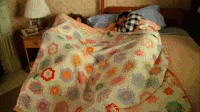 Blanket GIF
