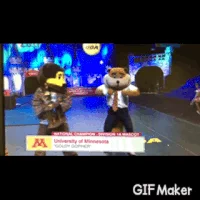 Championship Nationals GIF by Goldy the Gopher - University of Minnesota