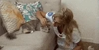 Season 21 Cat GIF by The Bachelor