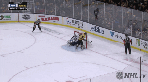 nhl  GIF